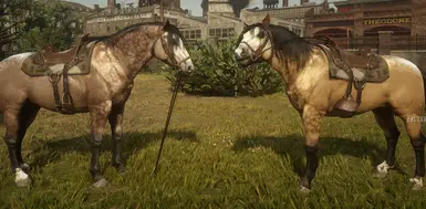 New Dappled Buckskin VS Original Dappled Buckskin