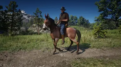 Mule at Red Dead Redemption 2 Nexus - Mods and community