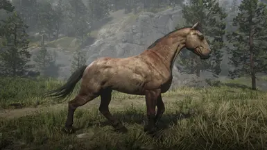 Unused Trailer Horse to Replace Mahogany Bay at Red Dead Redemption 2 ...