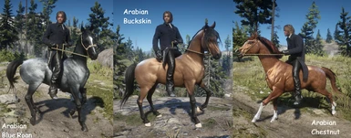 Arabian Pack 3