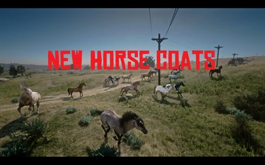 New Horse Coats