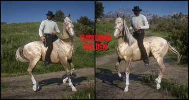 Turkoman Gold 2.0