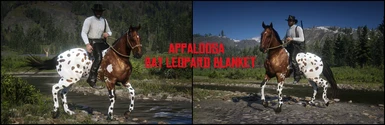 Appaloosa - Bay Leopard Blanket 