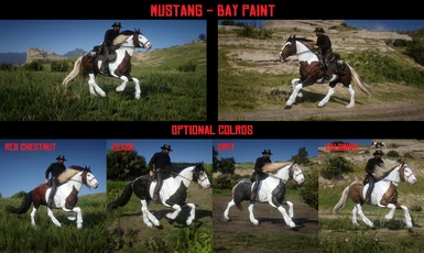 Mustang - Bay Paint