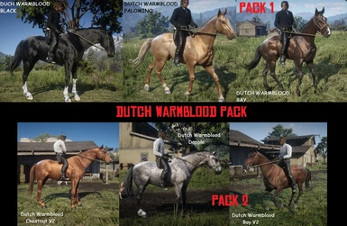 Dutch Warmblood Pack