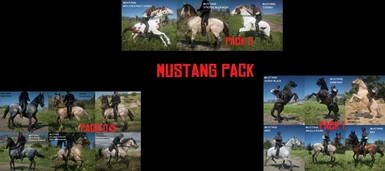 Mustang Pack