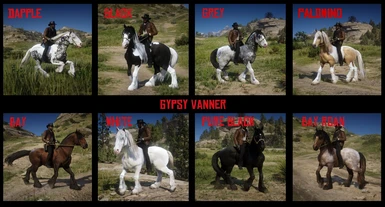 Gypsy Vanner - Pack 1