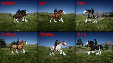 Clydesdale - Pack 1