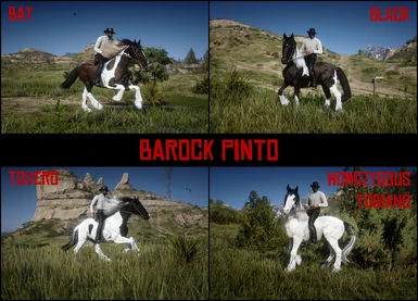 Barock Pinto - Pack 1