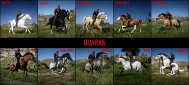 Quarab - Pack 1