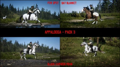 Appaloosa - Pack 3