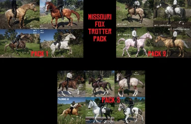 Missouri Fox Trotter Pack