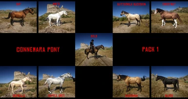Connemara Pony - Pack 1