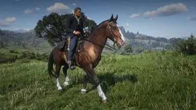 Dhu's Simple Horses at Red Dead Redemption 2 Nexus - Mods and community