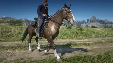 Dhu's Simple Horses at Red Dead Redemption 2 Nexus - Mods and community