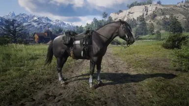 Dhu's Simple Horses at Red Dead Redemption 2 Nexus - Mods and community