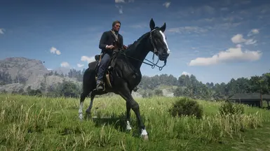 Dhu's Simple Horses at Red Dead Redemption 2 Nexus - Mods and community