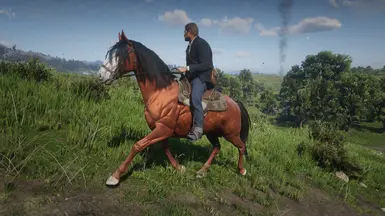 Dhu's Simple Horses at Red Dead Redemption 2 Nexus - Mods and community