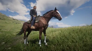 Dhu's Simple Horses at Red Dead Redemption 2 Nexus - Mods and community