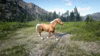 Tennessee Walker gold
