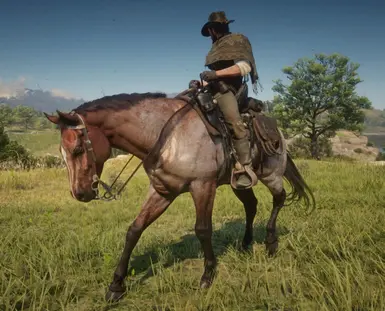 Realistic Cowboy Horses at Red Dead Redemption 2 Nexus - Mods and community