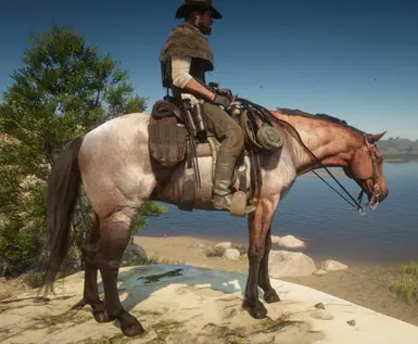 Realistic Cowboy Horses at Red Dead Redemption 2 Nexus - Mods and community