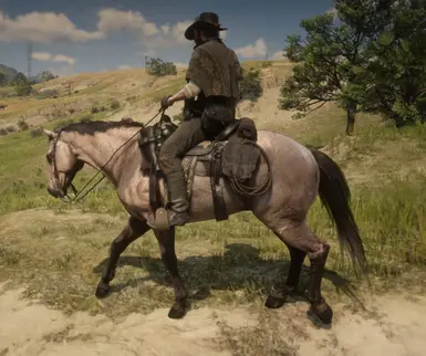 Realistic Cowboy Horses at Red Dead Redemption 2 Nexus - Mods and community