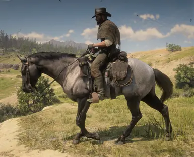 Realistic Cowboy Horses at Red Dead Redemption 2 Nexus - Mods and community