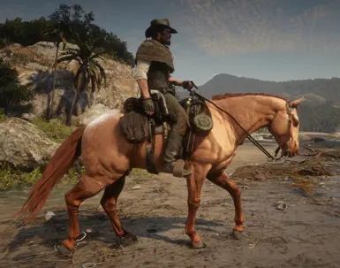 Realistic Cowboy Horses at Red Dead Redemption 2 Nexus - Mods and community