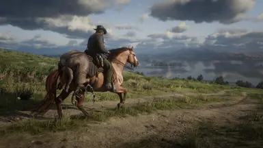 Realistic Cowboy Horses at Red Dead Redemption 2 Nexus - Mods and community