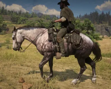 Realistic Cowboy Horses at Red Dead Redemption 2 Nexus - Mods and community