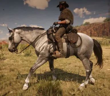 Realistic Cowboy Horses at Red Dead Redemption 2 Nexus - Mods and community