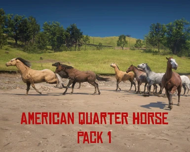 American Quarter Horse Pack 1