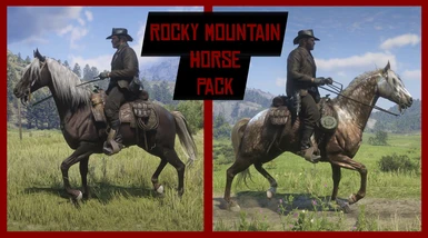 Rocky Mountain Horse Pack