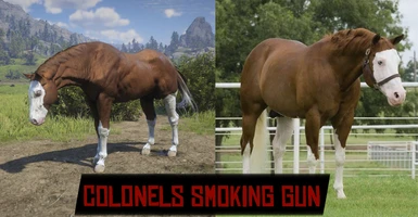 Colonels Smoking Gun - AQH
