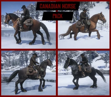 Canadian Horse Pack