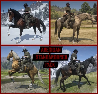 American Standardbred - Pack 1