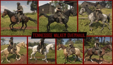 Tennessee Walker Overhaul