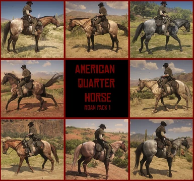 American Quarter Horse - Roan Pack