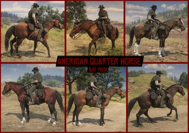 American Quarter Horse - Bay Pack