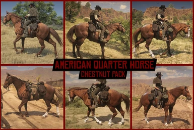 American Quarter Horse Chestnut Pack