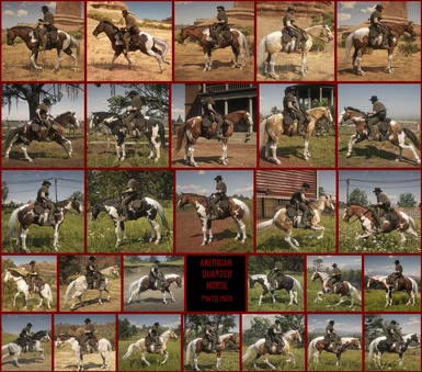 Realistic Cowboy Horses