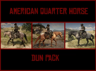 American Quarter Horse Dun Pack