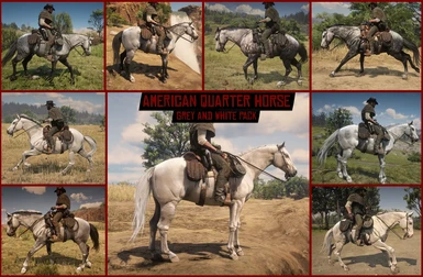American Quarter Horse - Grey and White Pack