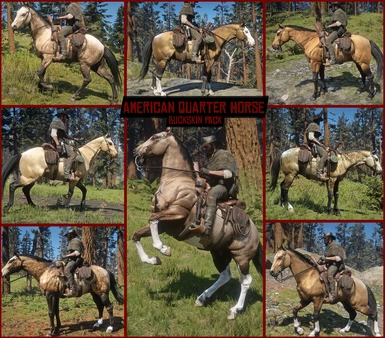 American Quarter Horse - Buckskin Pack