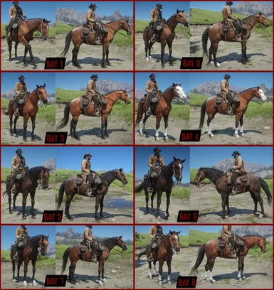 Realistic Cowboy Horses