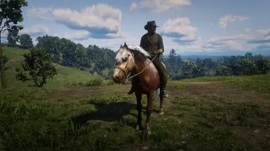 Welsh Pony and Cob at Red Dead Redemption 2 Nexus - Mods and community