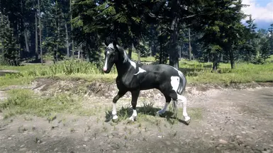 2 - Hungarian Halfbred