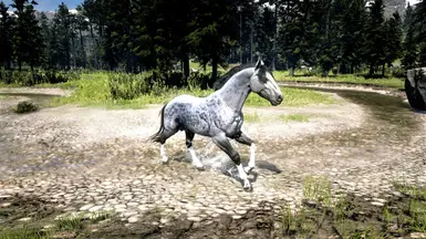 14 - Andalusian