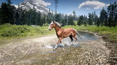 27 - Haflinger (no it's a Mustang without feathers)